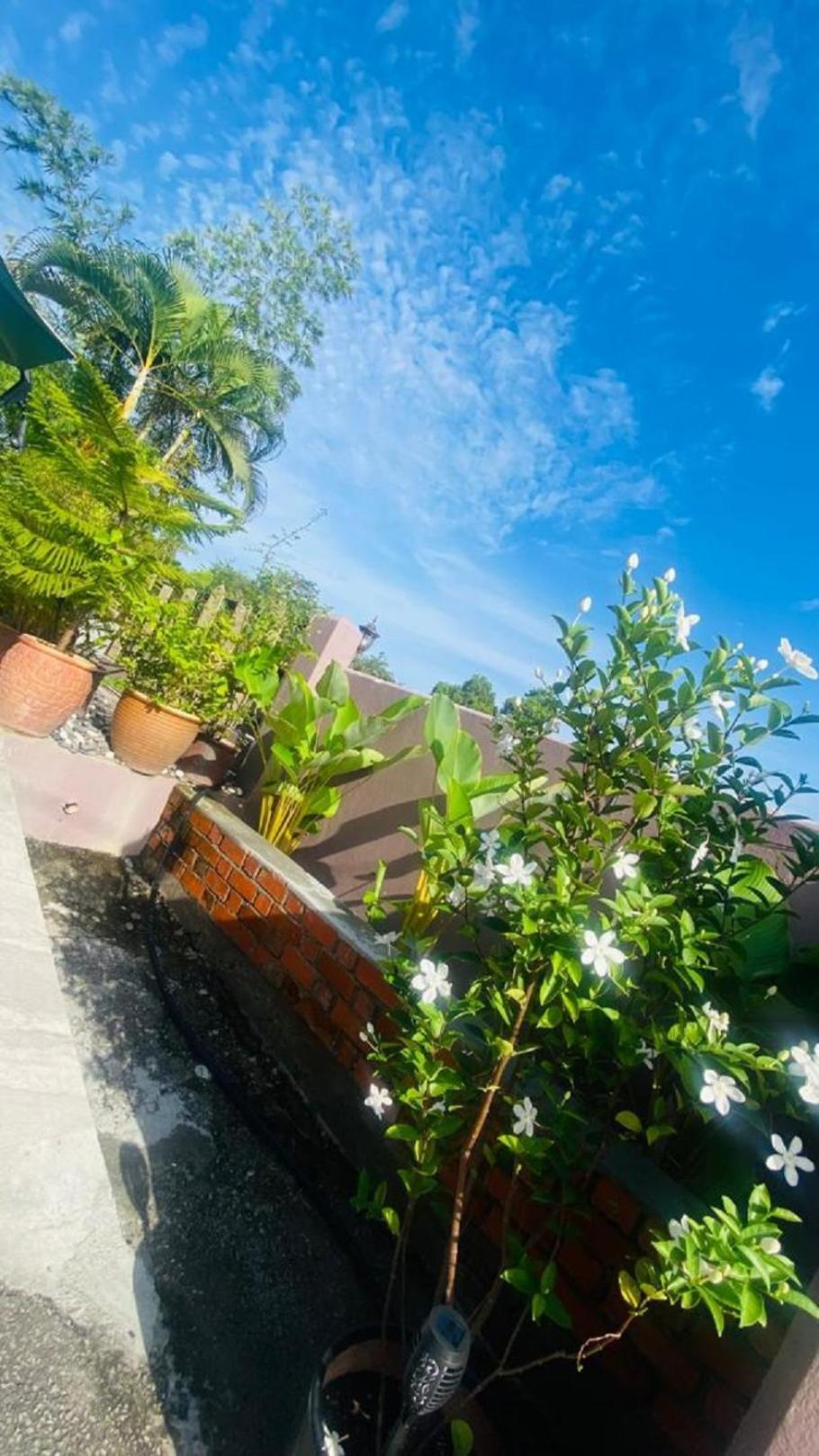 Motel Seri Mutiara Kuah Zewnętrze zdjęcie